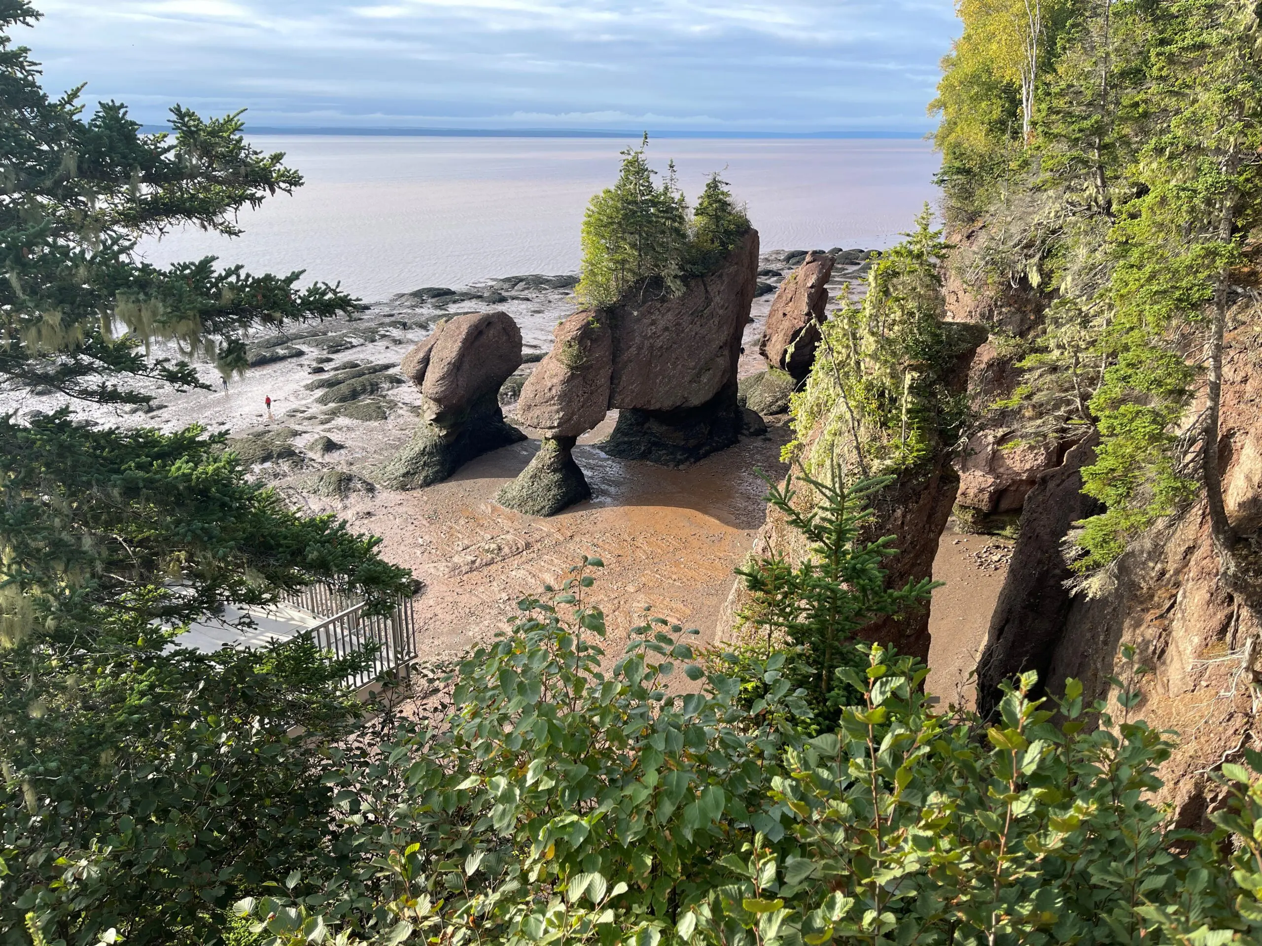 Bay of Fundy at low tide